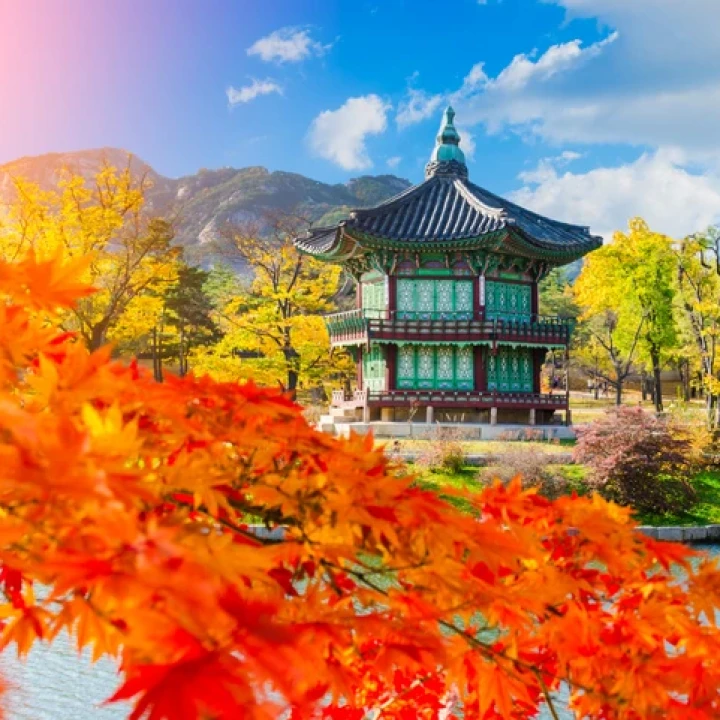 JAPONIA și COREEA de SUD